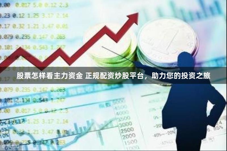 股票怎样看主力资金 正规配资炒股平台，助力您的投资之旅